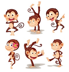 Monkey series vector image