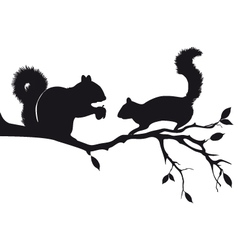Squirrels on tree branch vector image