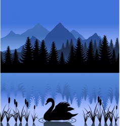 Swan on lake vector image