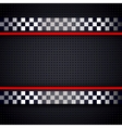 Structured metallic perforated for race sheet vector image