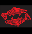 Salmon vector image