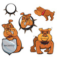 Set of Bulldog cartoons vector image