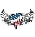 American flying graffiti vector image