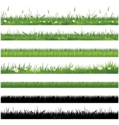Green grass collection vector image