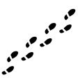 Footprints vector image