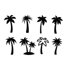 Palm icon vector image
