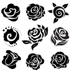 Rose design elements vector image