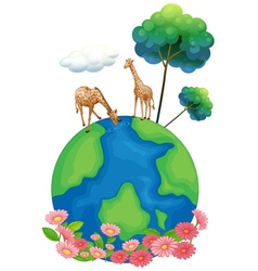 Two giraffes above the earth vector image