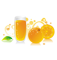 Fresh orange juice vector image