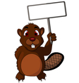 Beaver cartoon with blank sign vector image