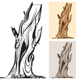 Old tree vector image