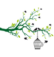 Tree branch with birds and birdcage vector image