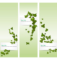 Spring banners with ivy vector image