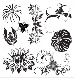 Floral elements vector image