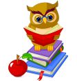 Cartoon owl vector image