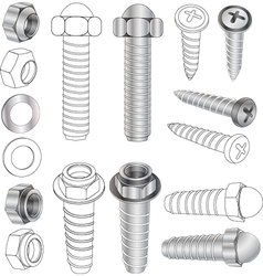 The complete set bolts and nuts vector image
