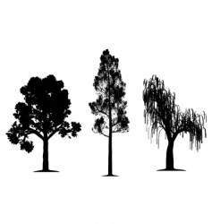 Tree silhouettes vector image