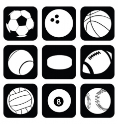 Sport balls vector image