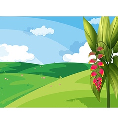 A beautiful landscape vector image