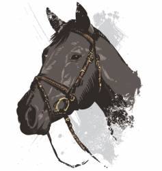 Horse illustration vector image