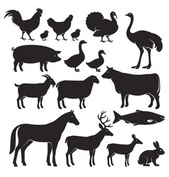 Farm animals silhouette icons vector image