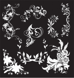 Floral elements vector image