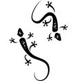 Lizard vector image