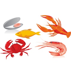 Seafood graphics vector image