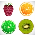 Set of fruits icons vector image