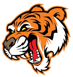 Tiger head mascot vector image