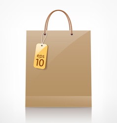 Bag brown shopping vector image