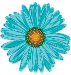 Daisy flower vector image