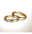 Golden wedding rings vector image