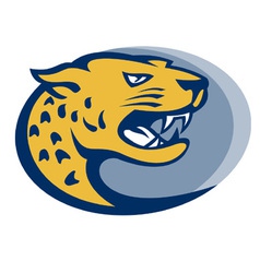 Leopard panther big cat head vector image
