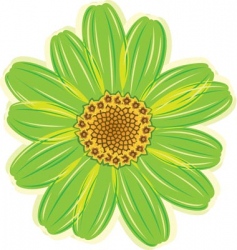 Daisy flower vector image