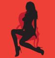 Silhouette on antique chair vector image