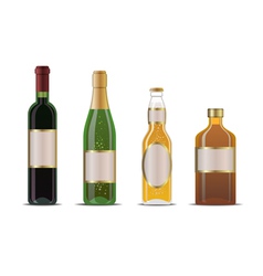 Bottles vector image