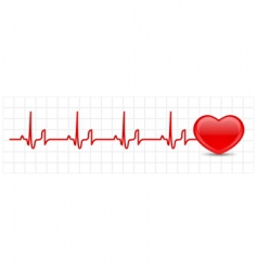 Heart cardiogram vector image