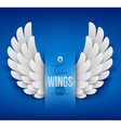 Artificial paper wings - vector image