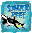 Shark vector image