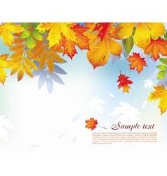 Autumn background vector image