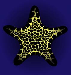 Yellow starfish vector image