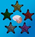 Starfish and sea shell vector image