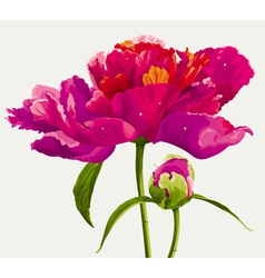 Luxurious flowers vector image