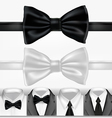 Black and white ties vector image