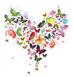 Butterfly vector image