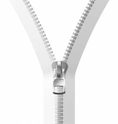 White zipper vector image