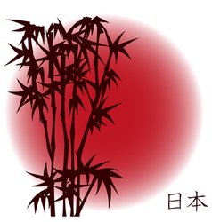 Bamboo on red sun vector image