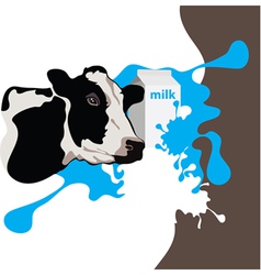 Cow milk package vector image