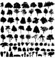 Plant silhouettes vector image